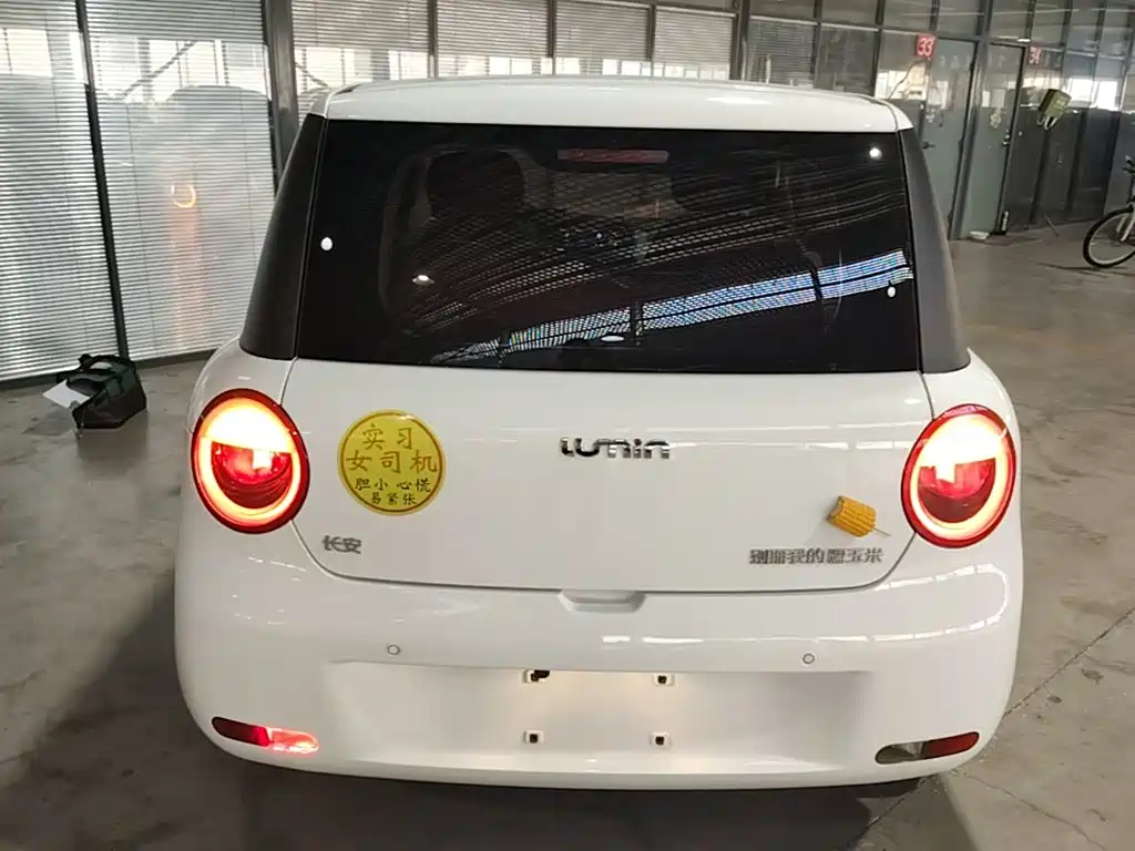 Qiyuan Lumin — миниатюра 6
