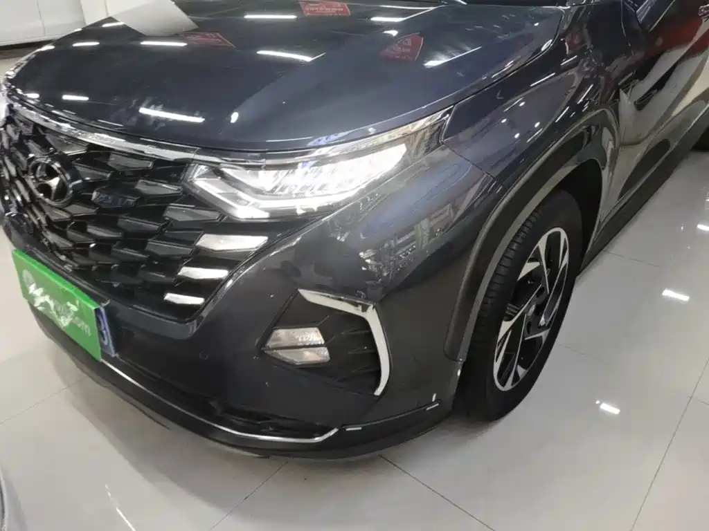 Hyundai Custo — миниатюра 24