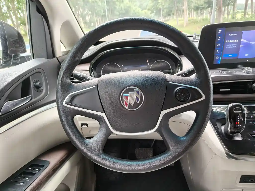 Buick GL8 — миниатюра 17