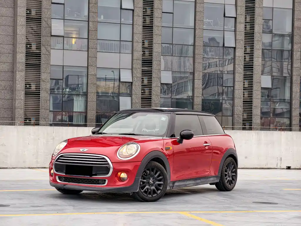 Mini Mini 2017