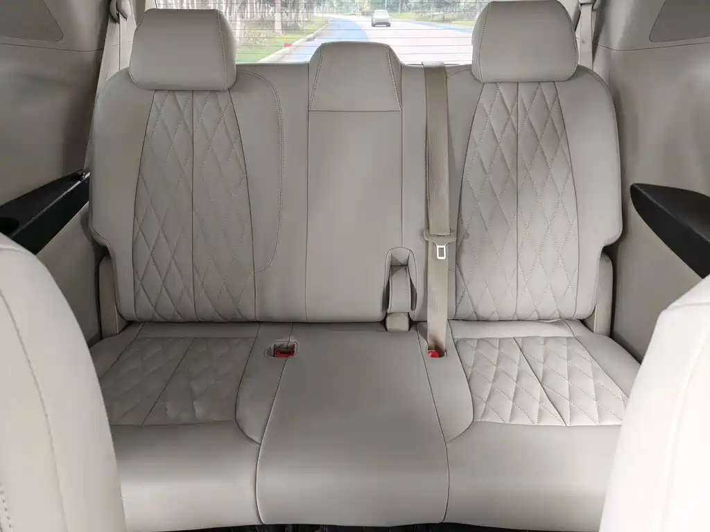 Buick GL8 — миниатюра 13