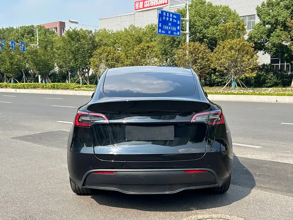 Tesla Model Y — миниатюра 4