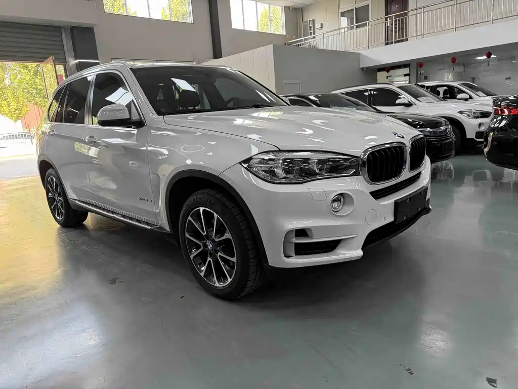 BMW X5 (Import) — миниатюра 3