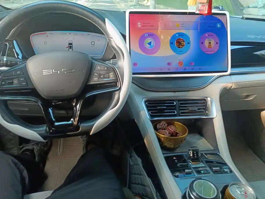 BYD PLUS New Energy — миниатюра 12