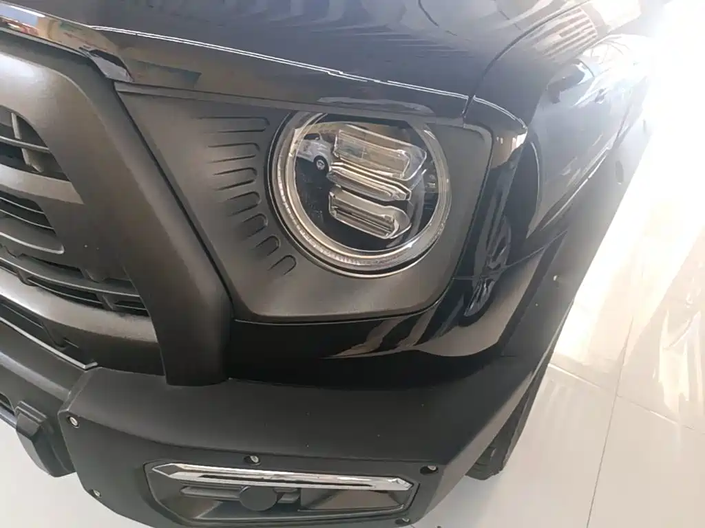 Haval Big Dog — миниатюра 24