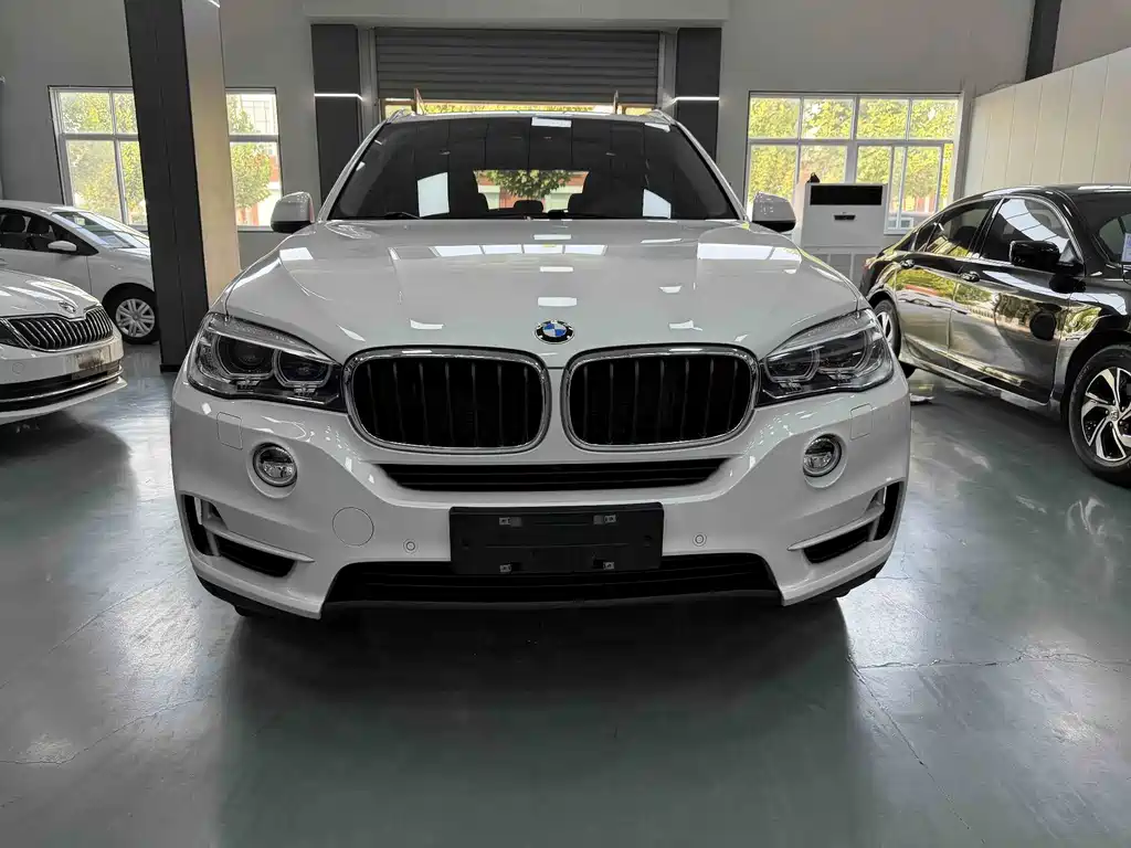 BMW X5 (Import) — миниатюра 2