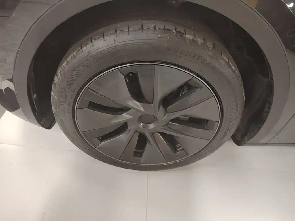 Tesla Model Y — миниатюра 23