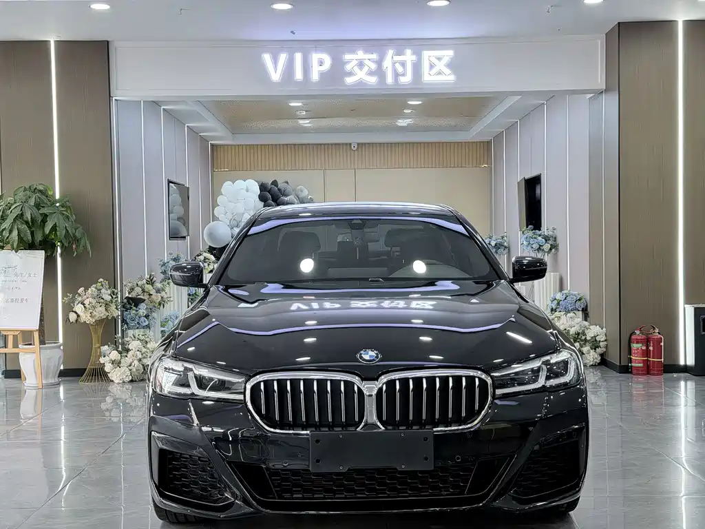 BMW 5 Series — миниатюра 2