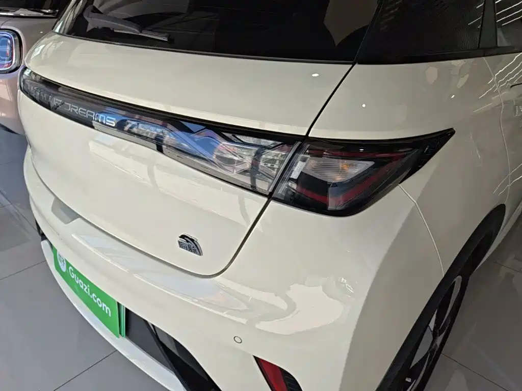 BYD Dolphin — миниатюра 8