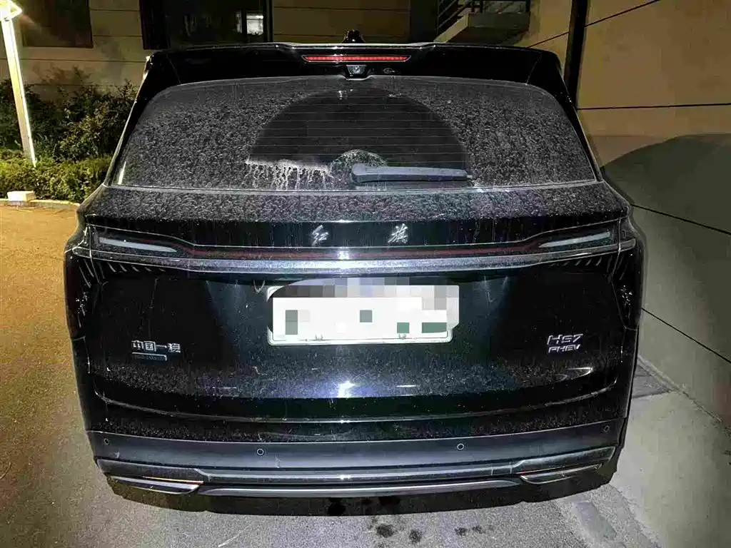 Hongqi Hongqi HS7 PHEV — миниатюра 2