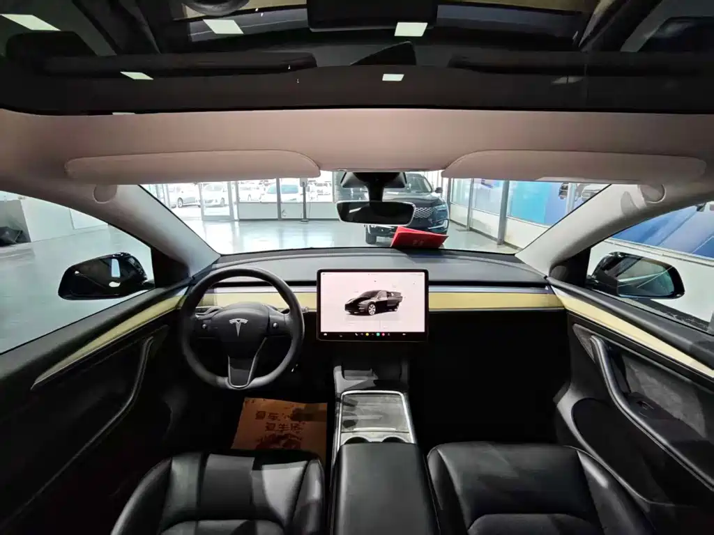 Tesla Model Y — миниатюра 4