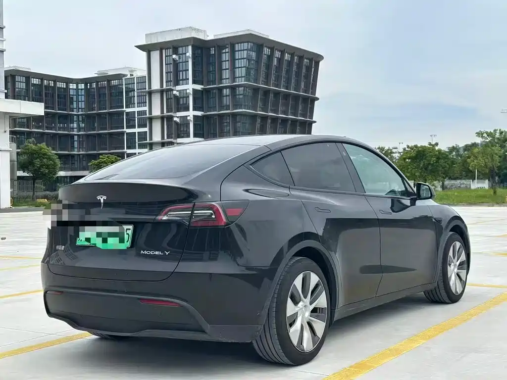 Tesla Model Y — миниатюра 9