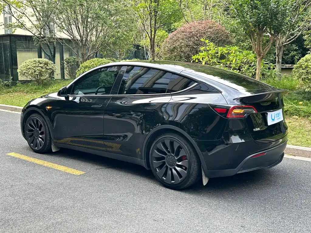 Tesla Model Y — миниатюра 6
