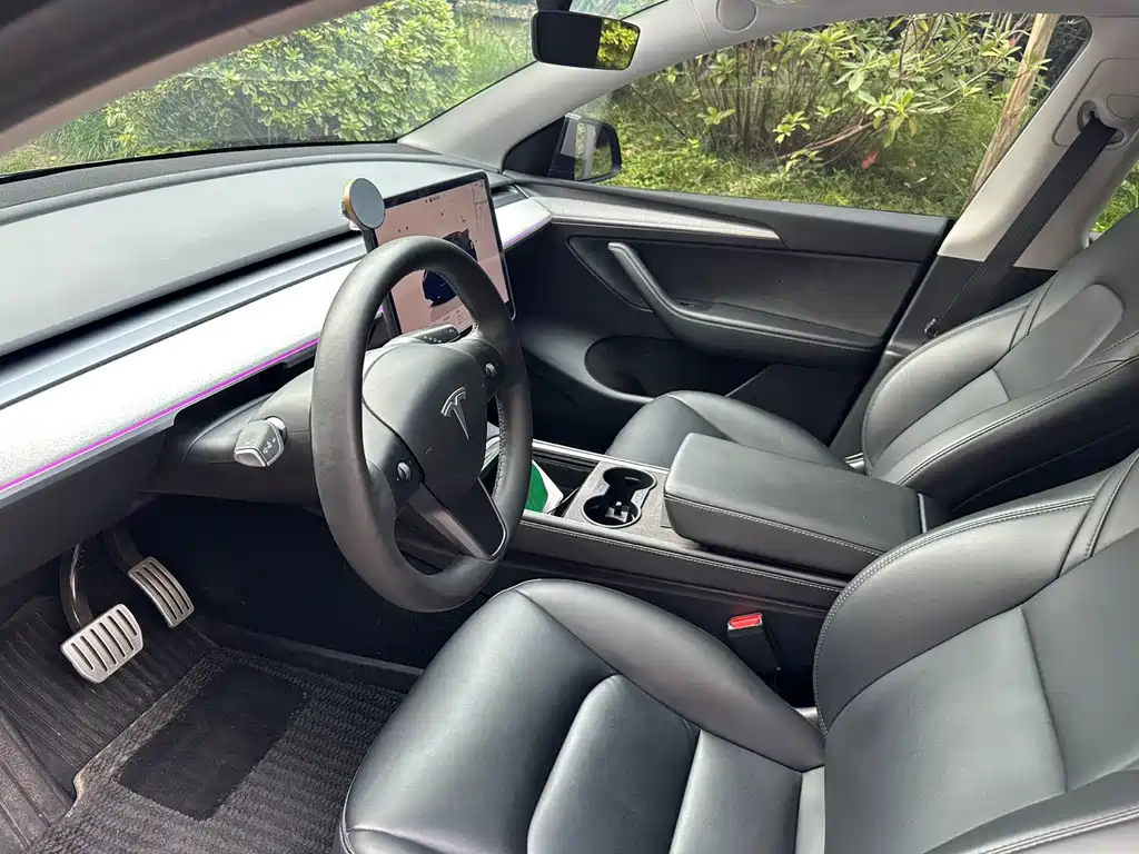 Tesla Model Y — миниатюра 10