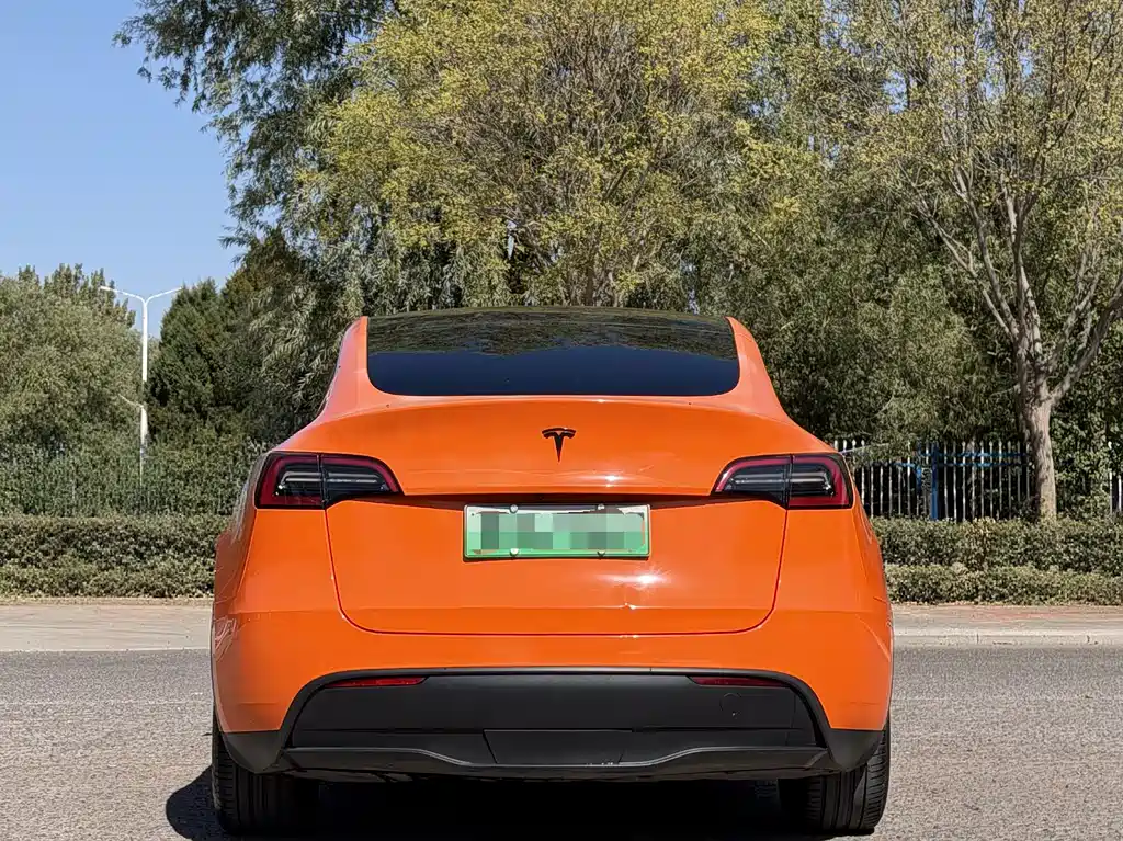 Tesla Model Y — миниатюра 5