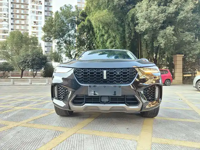 WEI PAI WEI BRAND VV7 2020