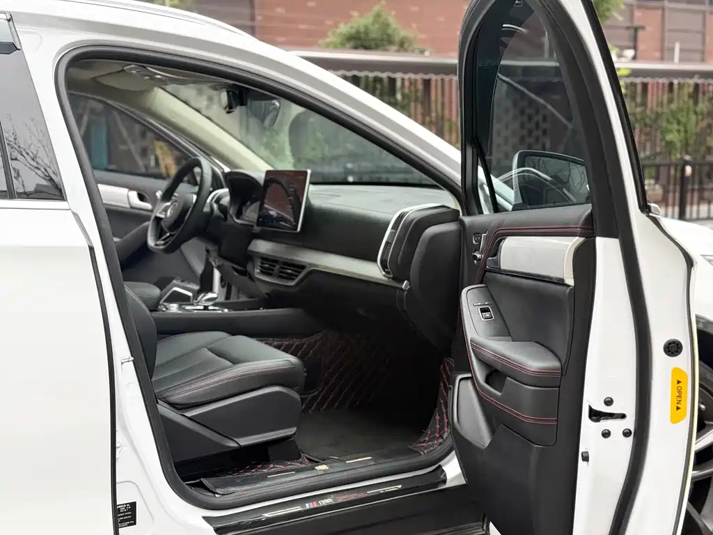 BYD Tang New Energy — миниатюра 7