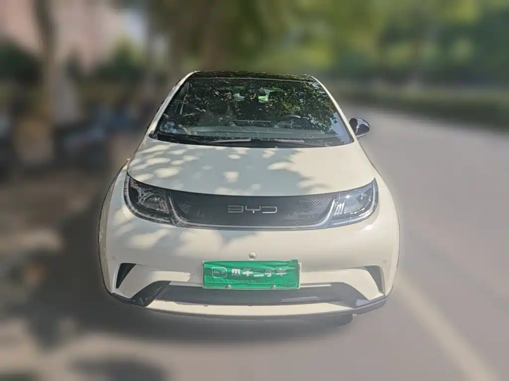 BYD Dolphin — миниатюра 2