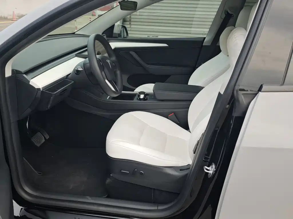 Tesla Model Y — миниатюра 8