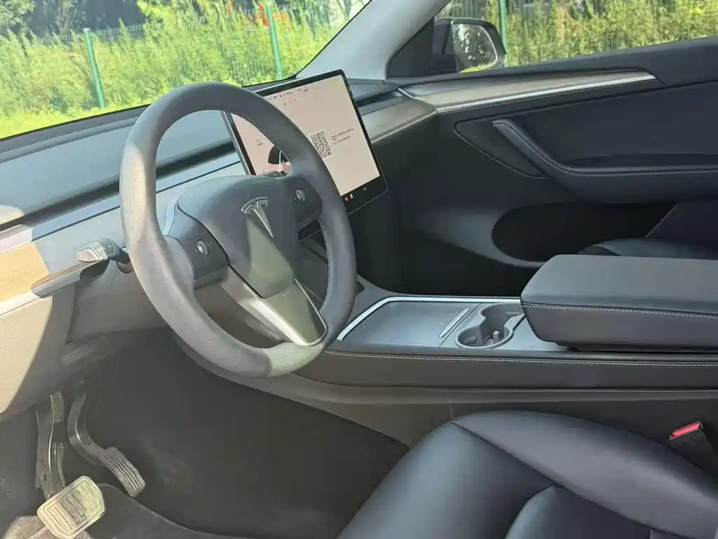 Tesla Model Y — миниатюра 4