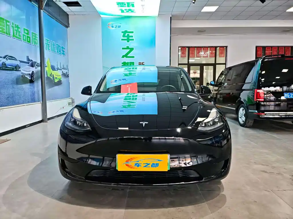 Tesla Model Y — миниатюра 2