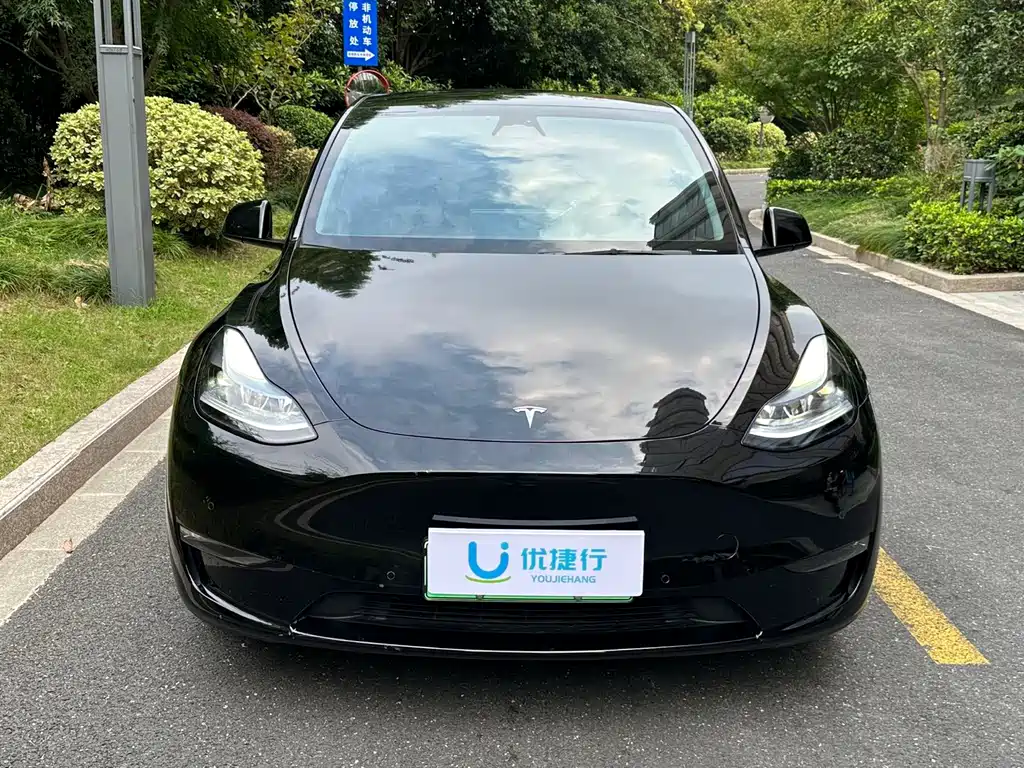 Tesla Model Y — миниатюра 2