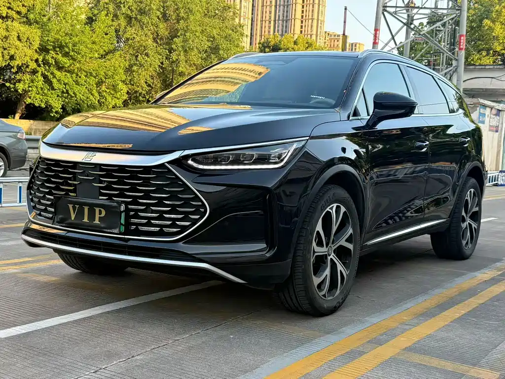 Byd Tang New Energy 2025