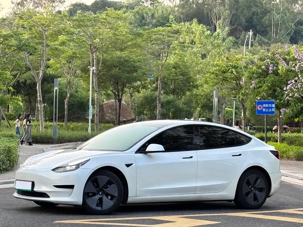 Tesla Model 3 — миниатюра 2