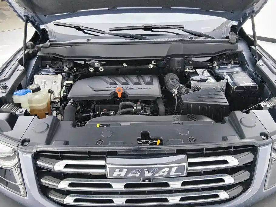Haval Big Dog — миниатюра 9