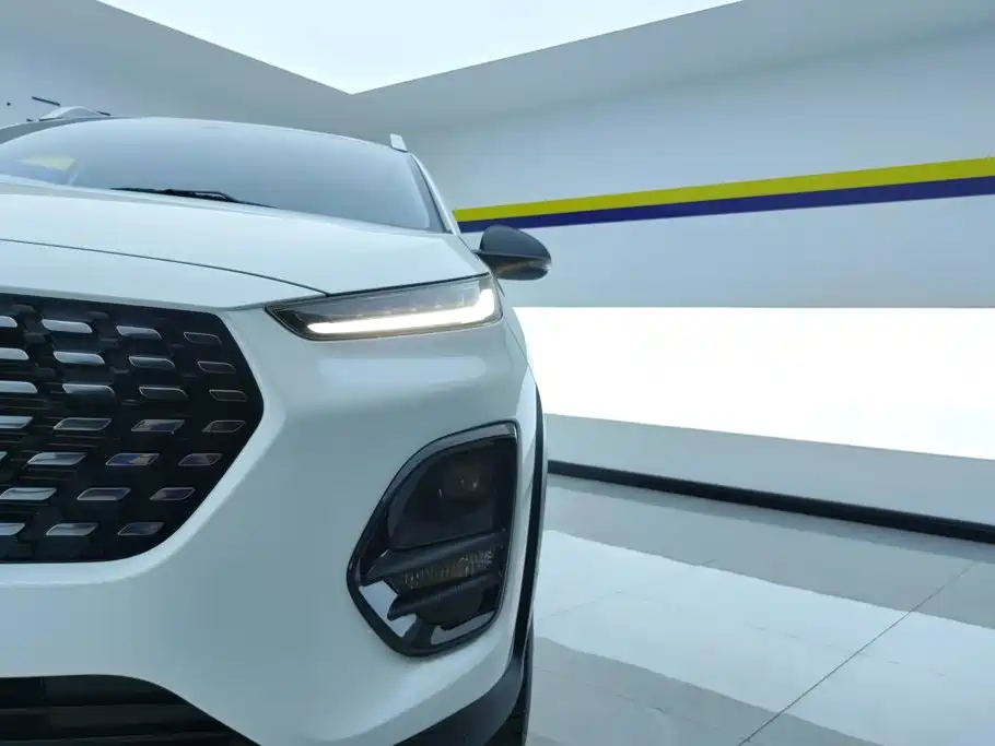 Chery Tiggo 3x — миниатюра 5