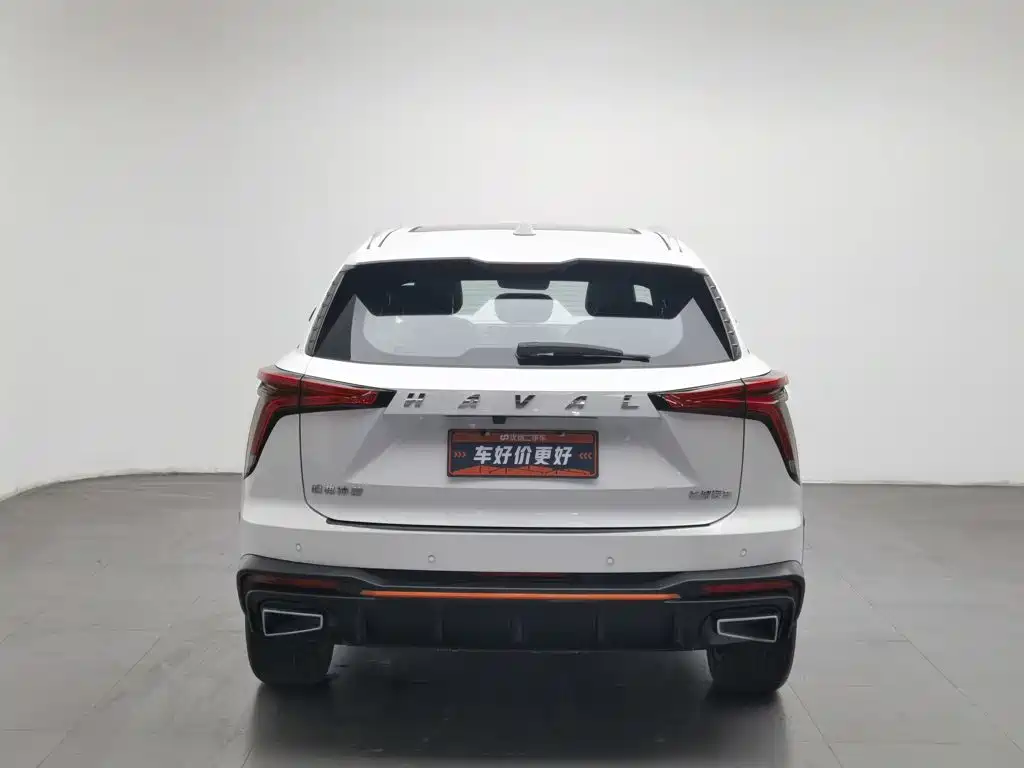 Haval Shenshou — миниатюра 4