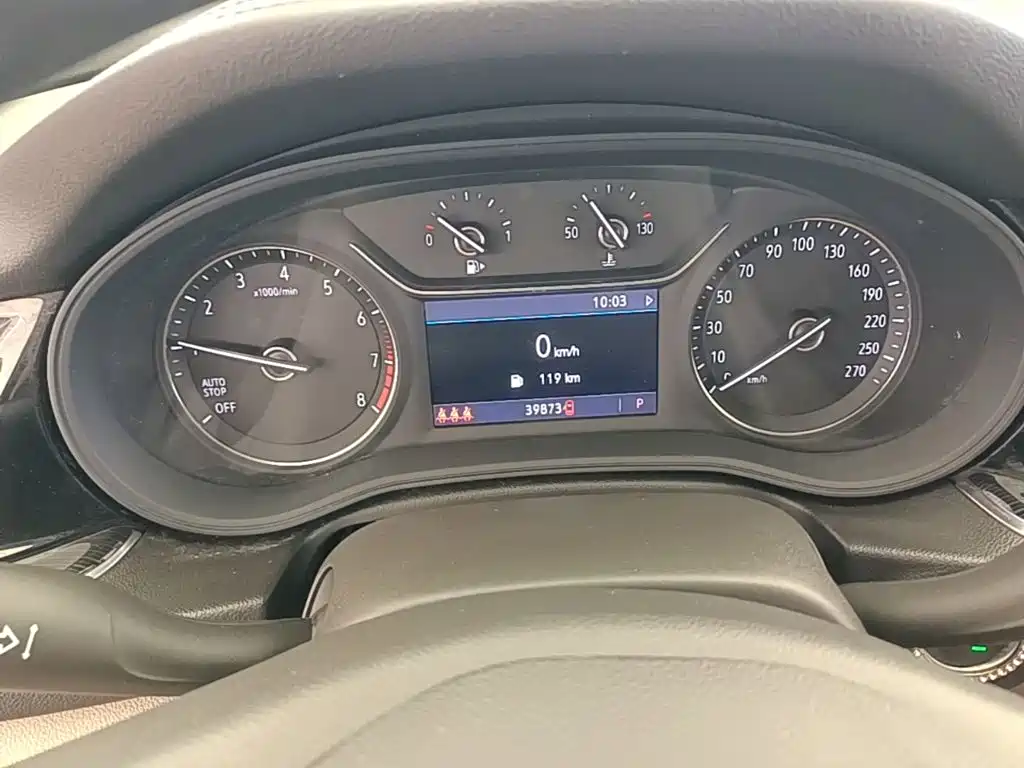 Buick Regal — миниатюра 12