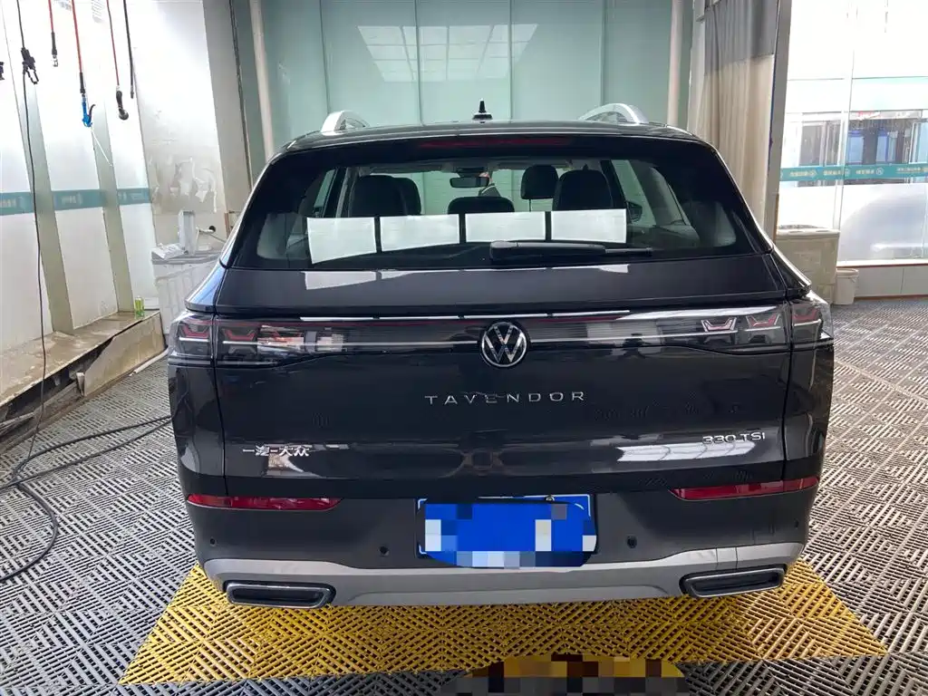Volkswagen Tavendor — миниатюра 9