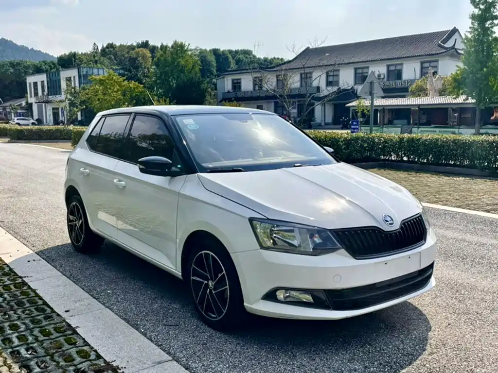 Skoda Fabia — миниатюра 19