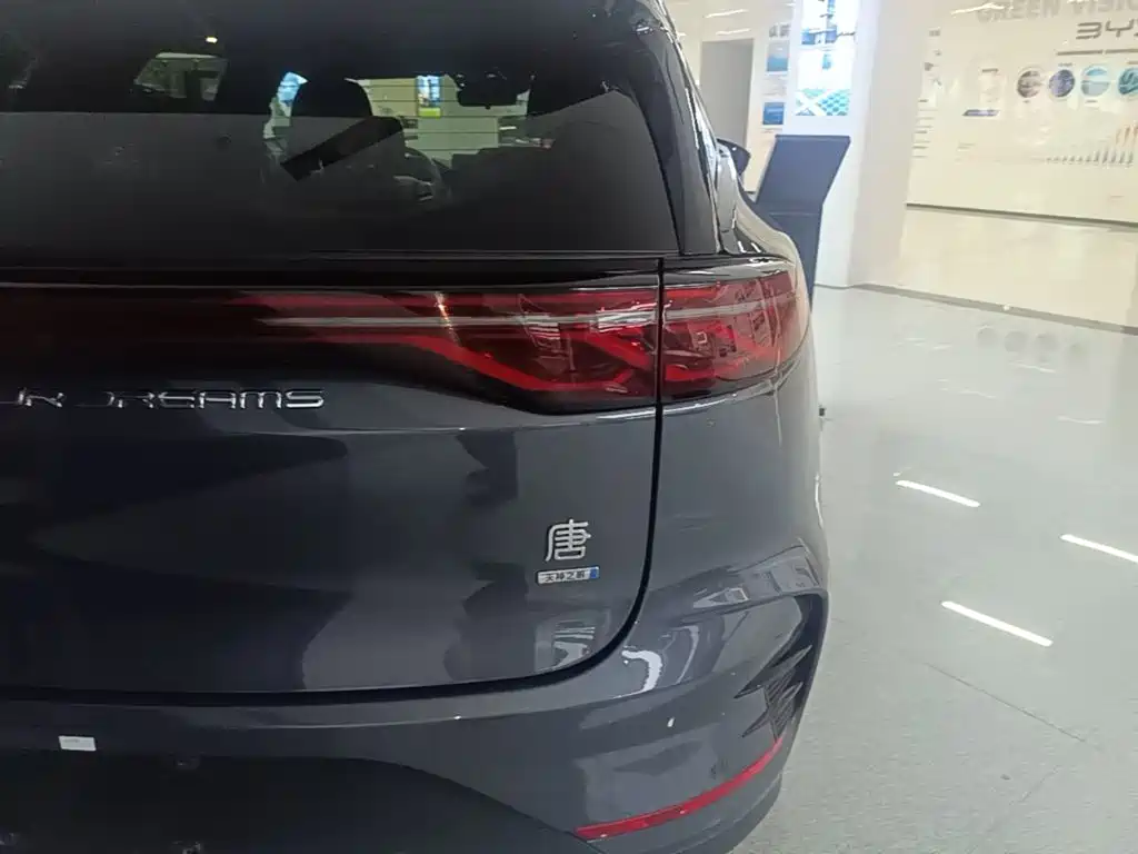 BYD Tang New Energy — миниатюра 8