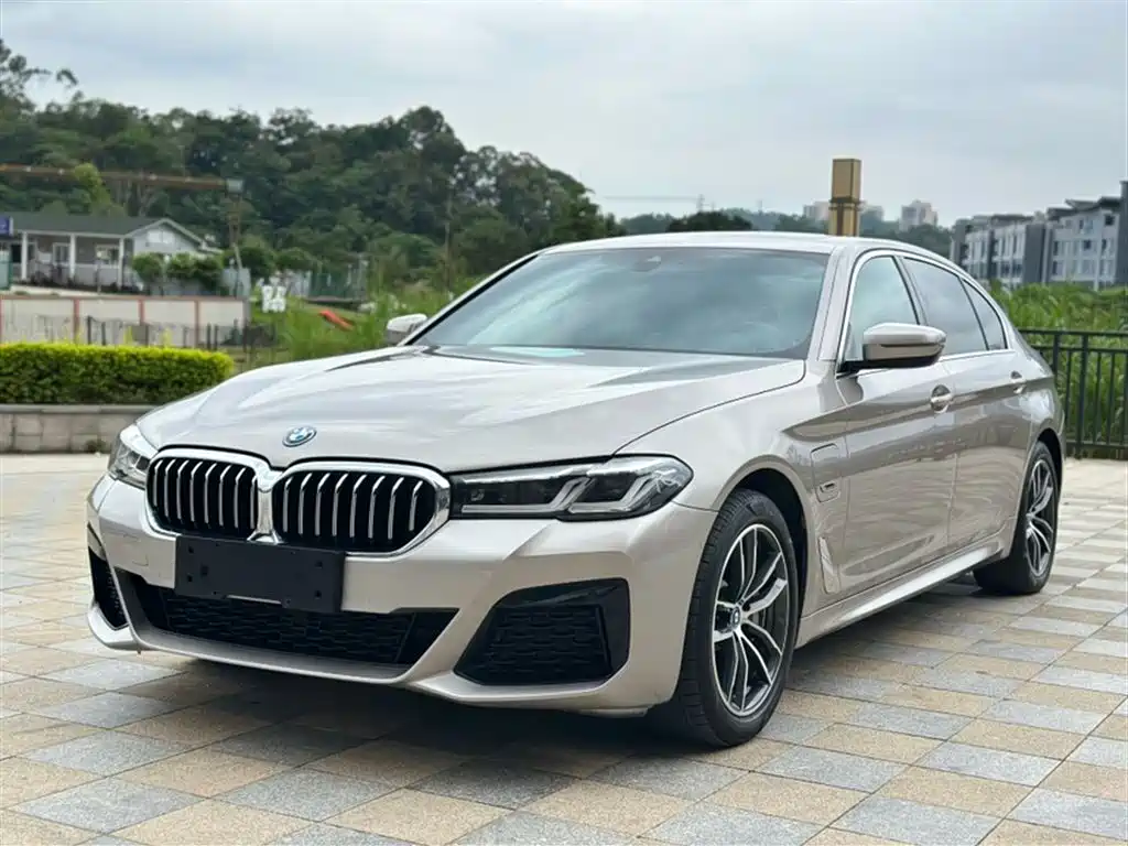 BMW  5 SERIES NEW ENERGY