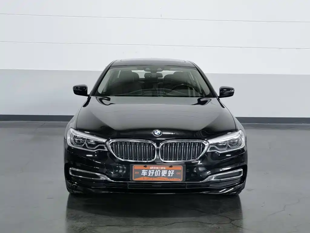 BMW 5 Series New Energy — миниатюра 3