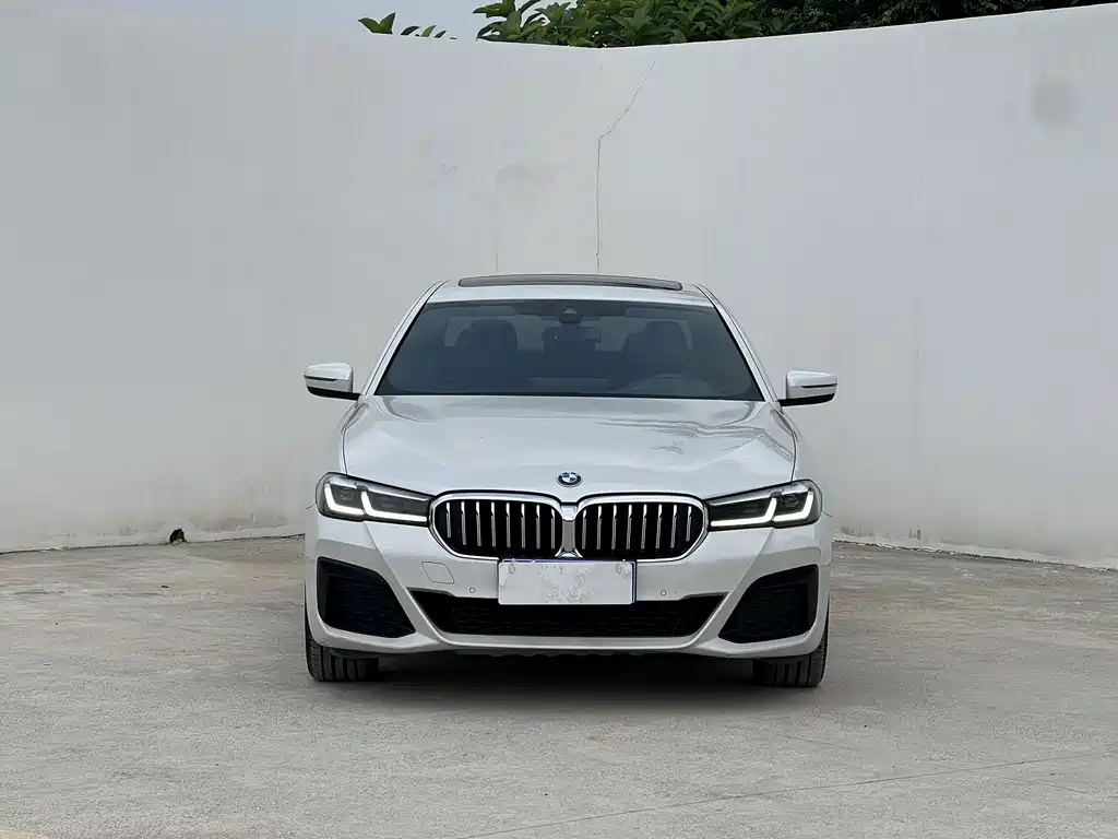 BMW 5 Series — миниатюра 2