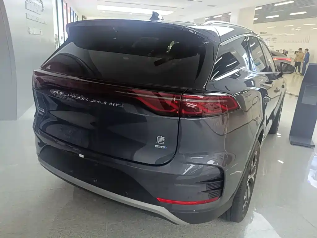 BYD Tang New Energy — миниатюра 7