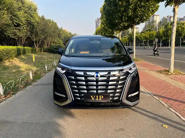 Denza D9