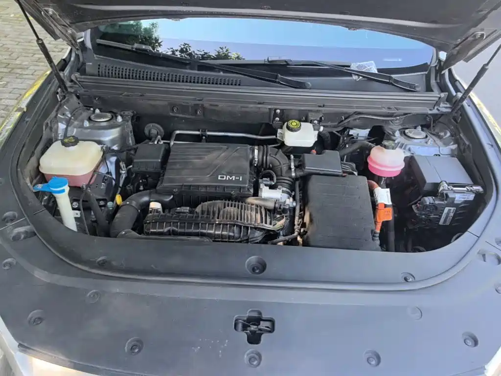 BYD Pro New Energy — миниатюра 20