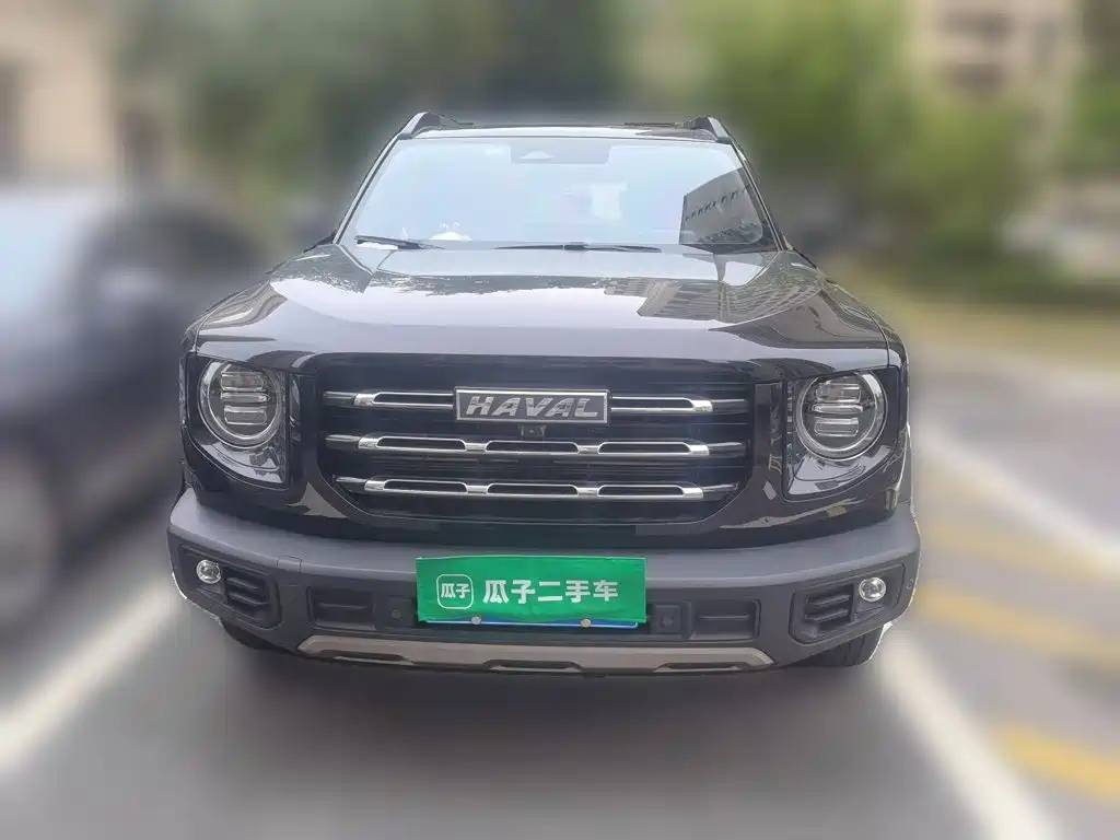 Haval Big Dog — миниатюра 23