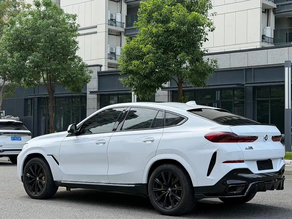 BMW X6 — миниатюра 17