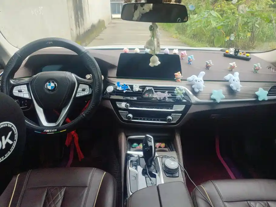 BMW 5 Series New Energy — миниатюра 12