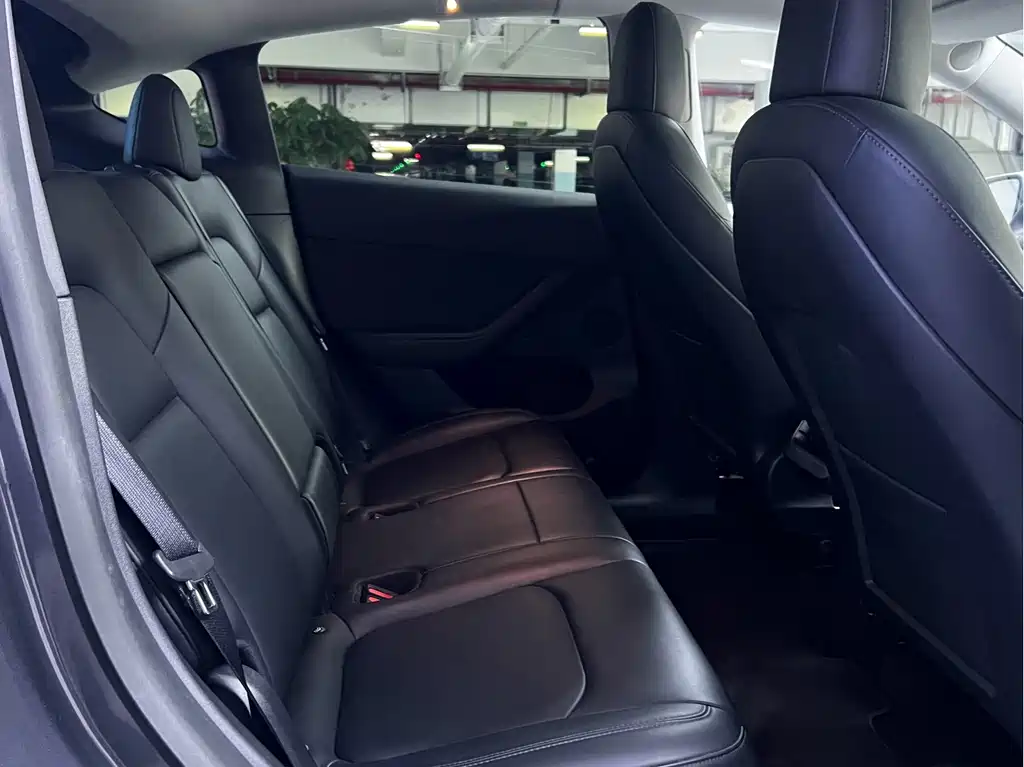 Tesla Model Y — миниатюра 5