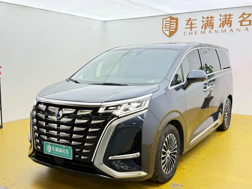 Denza Denza D9