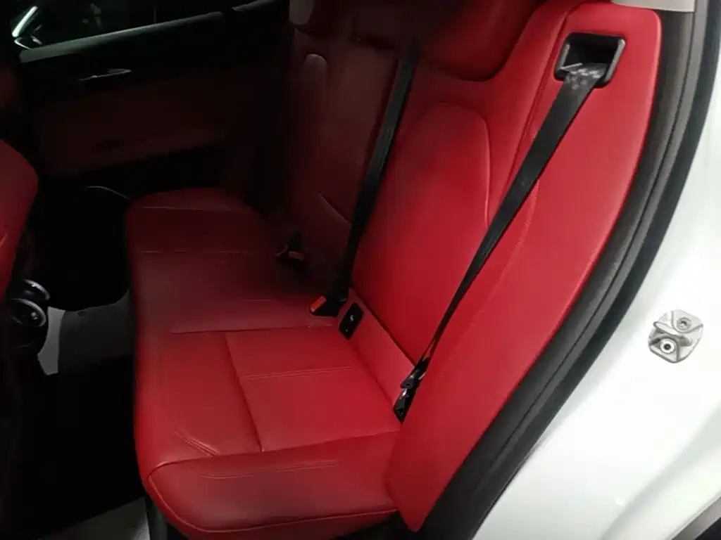 Alfa Romeo Stelvio — миниатюра 17