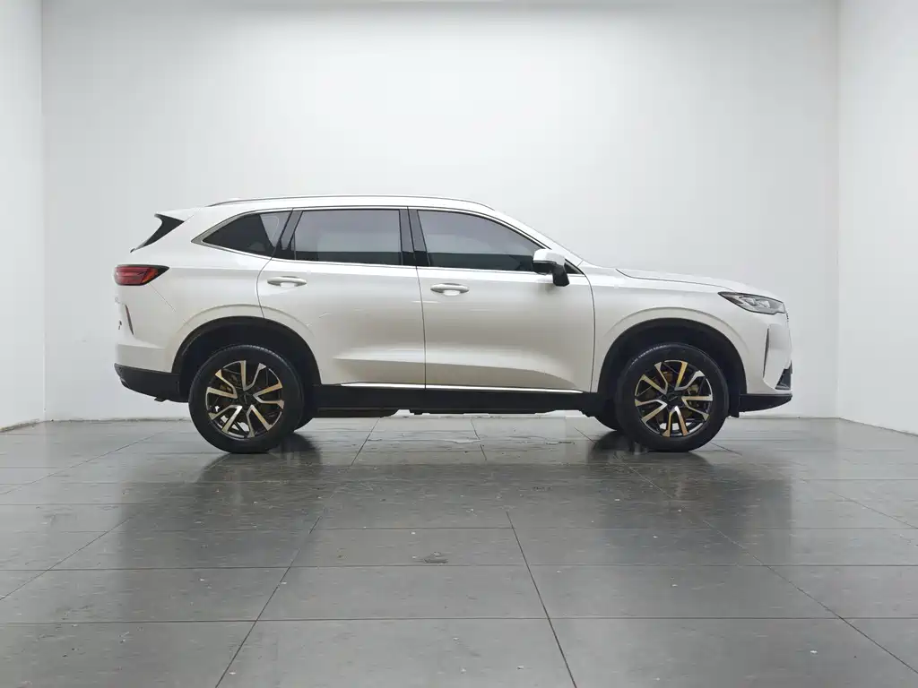 Haval H6 — миниатюра 11