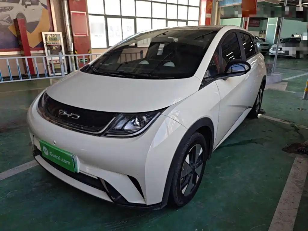 BYD Dolphin — миниатюра 2