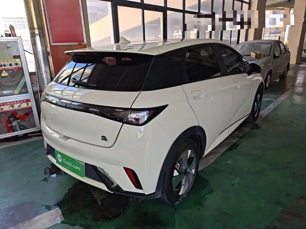 BYD Dolphin — миниатюра 7